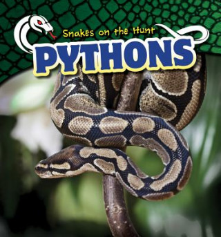 Knjiga Pythons Amy Austen