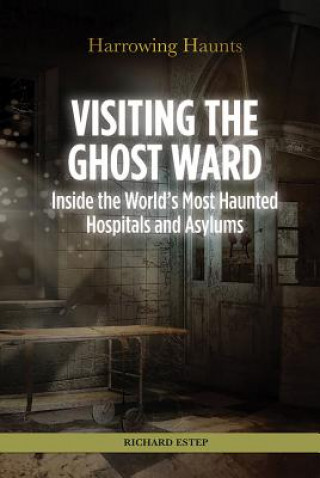 Book Visiting the Ghost Ward Richard Estep