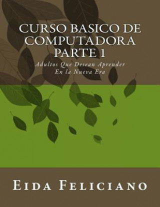 Book Curso básico de computadora / Basic computer course Eida Feliciano