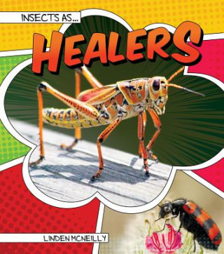 Carte Insects As Healers Linden Mcneilly
