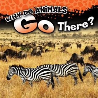 Knjiga Why Do Animals Go There? Jonathan Rosen