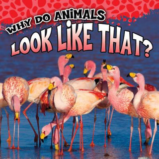Knjiga Why Do Animals Look Like That? Sam George