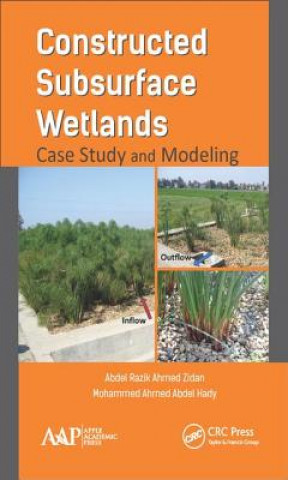 Kniha Constructed Subsurface Wetlands Abdel Razik Ahm Zidan