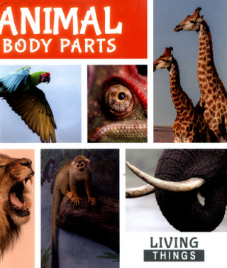Книга Animal Body Parts Steffi Cavell Clarke