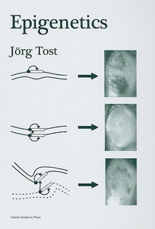 Book Epigenetics Jorg Tost