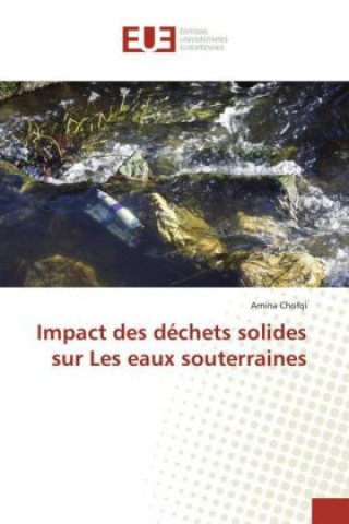 Libro Impact des déchets solides sur Les eaux souterraines Amina Chofqi