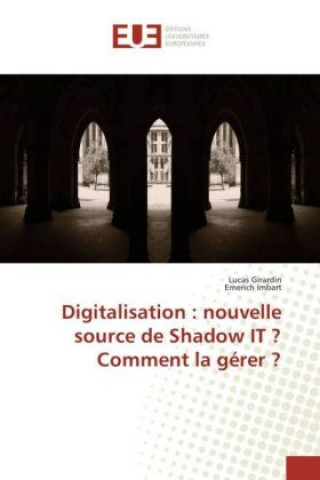 Książka Digitalisation : nouvelle source de Shadow IT ? Comment la gérer ? Lucas Girardin