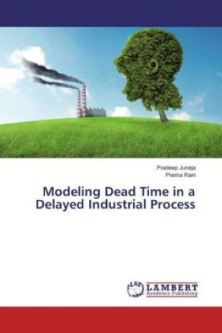 Carte Modeling Dead Time in a Delayed Industrial Process Pradeep Juneja