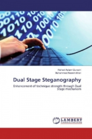 Buch Dual Stage Steganography Raheel Aslam Qureshi