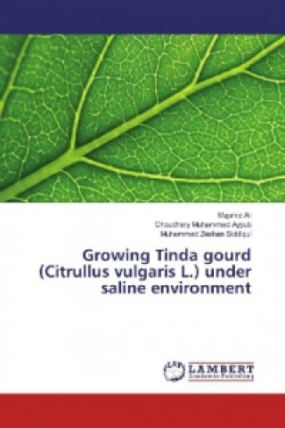 Könyv Growing Tinda gourd (Citrullus vulgaris L.) under saline environment Mujahid Ali