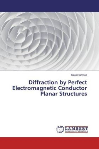 Kniha Diffraction by Perfect Electromagnetic Conductor Planar Structures Saeed Ahmed