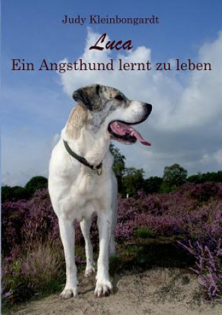 Knjiga Luca Judy Kleinbongardt