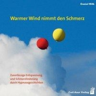 Аудио Warmer Wind nimmt den Schmerz Daniel Wilk