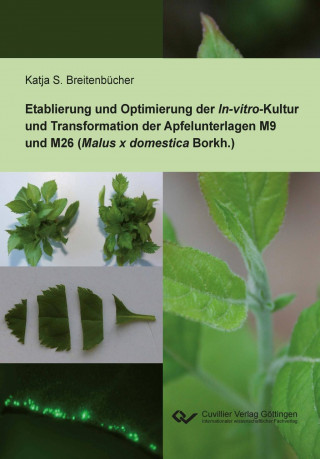 Libro Etablierung und Optimierung der In-vitro-Kultur und Transformation der Apfelunterlagen M9 und M26 (Malus x domestica Borkh.) Katja Breitenbücher