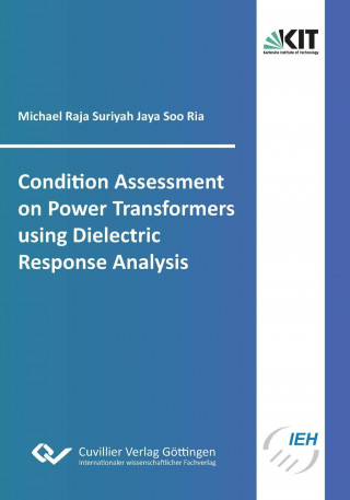 Kniha Condition Assessment on Power Transformers using Dielectric Response Analysis Michael Raja Suriyah Jaya Soo Ria