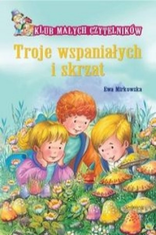 Książka Troje wspanialych i skrzat Ewa Mirkowska