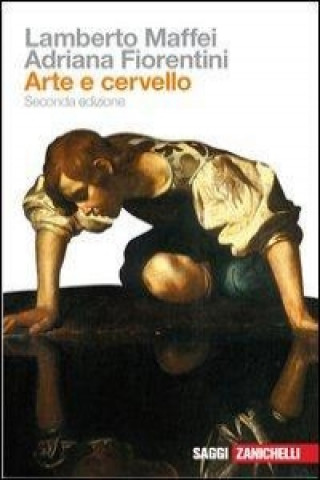 Книга Arte e cervello Adriana Fiorentini