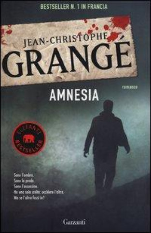 Kniha Amnesia Jean-Christophe Grangé