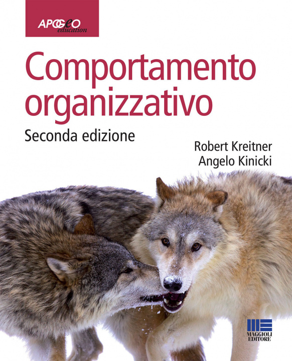 Kniha Comportamento organizzativo Angelo Kinicki