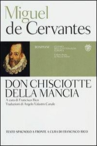 Buch Don Chisciotte della Mancia. Testo spagnolo a fronte Miguel de Cervantes