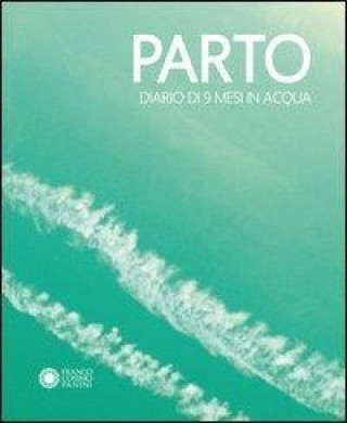 Knjiga Parto. Diario di 9 mesi in acqua-Parto. Diario di 9 mesi in aria Chiara Carminati