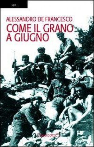 Buch Come il grano a giugno Alessandro De Francesco