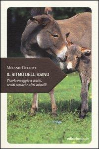 Kniha Il ritmo dell'asino. Piccolo omaggio a ciuchi, vecchi somari e altri asinelli Mélanie Delloye