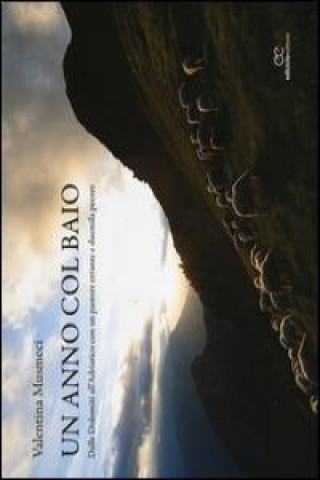 Könyv Un anno col baio. Dalle Dolomiti all'Adriatico con un pastore errante e duemila pecore Valentina Musmeci