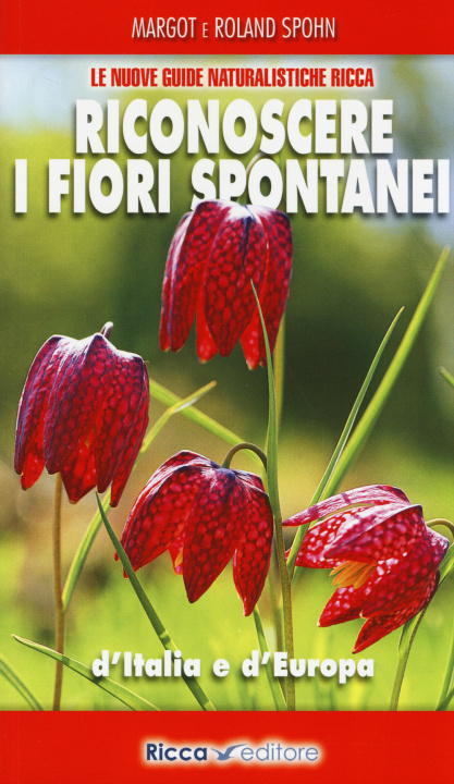 Kniha Riconoscere i fiori spontanei d'Italia e d'Europa Margot Spohn