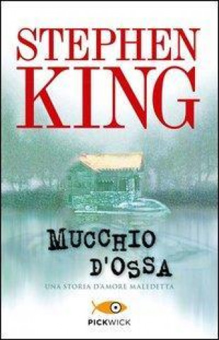 Kniha Mucchio d'ossa Stephen King