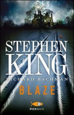 Книга Blaze Stephen King
