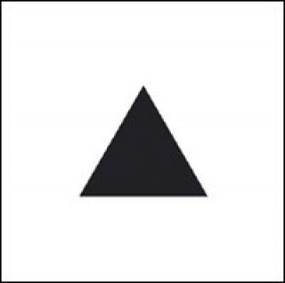 Libro Il triangolo Bruno Munari