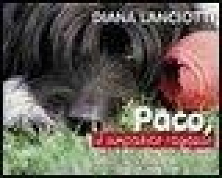 Buch Paco, il simpatico ragazzo Diana Lanciotti