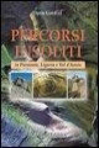 Kniha Percorsi insoliti in Piemonte, Liguria e Val d'Aosta Dario Gardiol