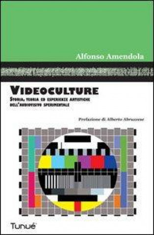 Carte Videoculture. Storia, teorie ed esperienze artistiche dell'audiovisivo sperimentale Alfonso Amendola