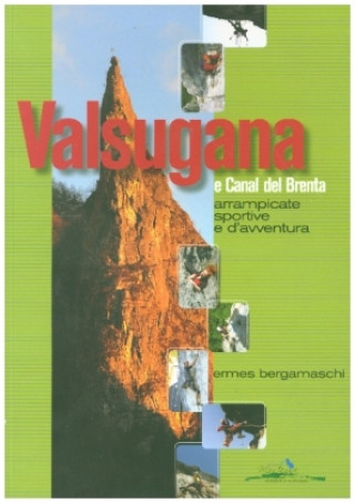 Kniha Valsugana e Canal del Brenta Ermes Bergamaschi