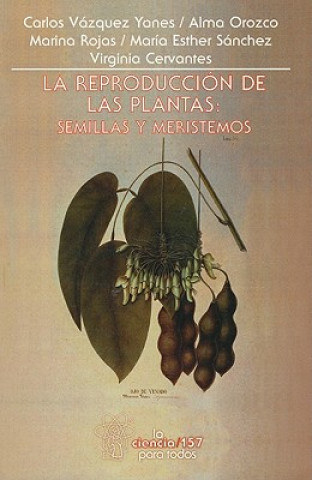 Kniha La Reproduccion de las Plantas: Semillas y Meristemos Carlos Vazquez Yanes