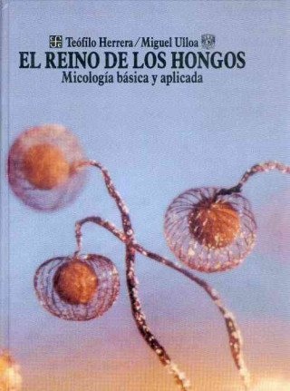 Könyv El Reino de Los Hongos: Micologia Basica y Aplicada Teofilo Herrera