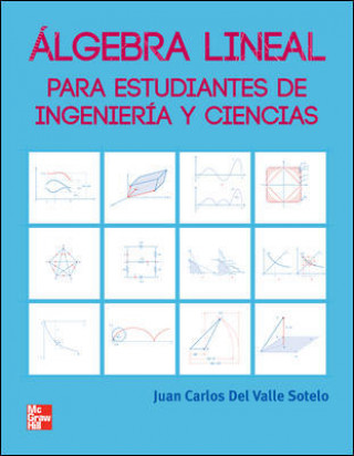 Kniha Álgebra lineal y sus aplicaciones DEL VALLE