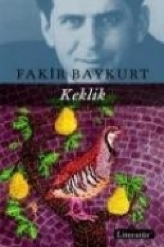 Book Keklik Fakir Baykurt