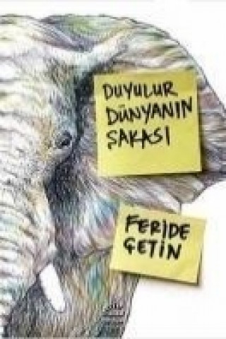 Livre Duyulur Dünyanin Sakasi Feride cetin