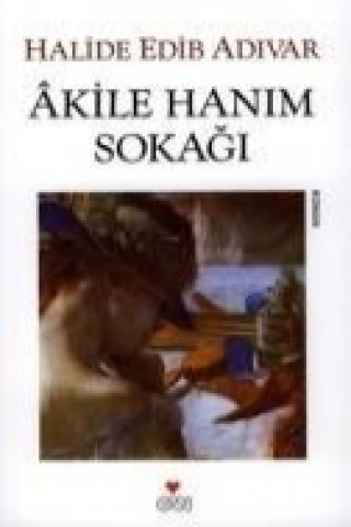 Carte Akile Hanim Sokagi Halide Edip Adivar