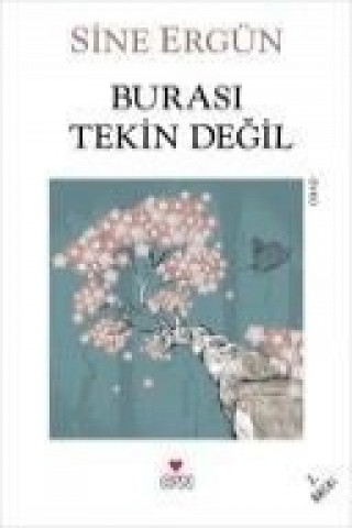 Buch Burasi Tekin Degil Sine Ergün