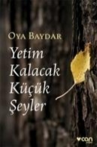 Könyv Yetim Kalacak Kücük Seyler Oya Baydar