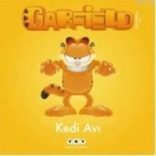 Carte Garfield 4 Kedi Avi Marcel Marlier;Gilbert Delahaye