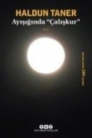Livro Ayisiginda Caliskur Haldun Taner