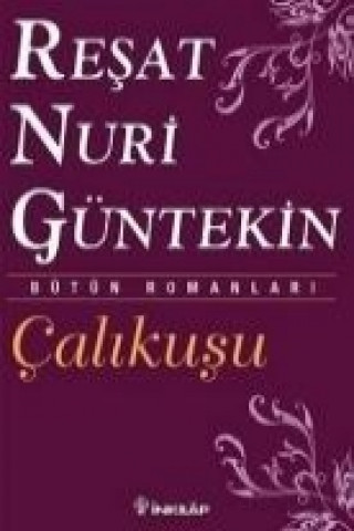 Kniha Calikusu Resat Nuri Güntekin