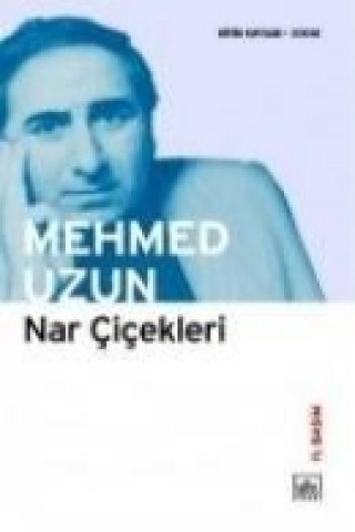 Knjiga Nar Cicekleri Mehmed Uzun