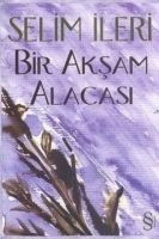 Knjiga Bir Aksam Alacasi Selim Ileri