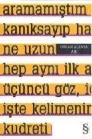 Kniha Alti Orhan Alkaya